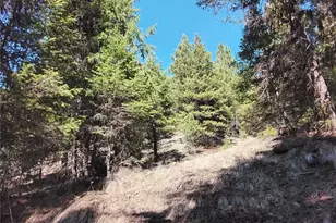 44 Trapline Loop Rd, Oroville, WA 98844 - Photo 1