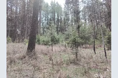 44 Trapline Loop Road, Oroville, WA 98844 - Photo 7