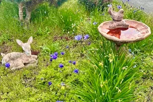 71 Onyx, Sequim, WA 98382 - Photo 3