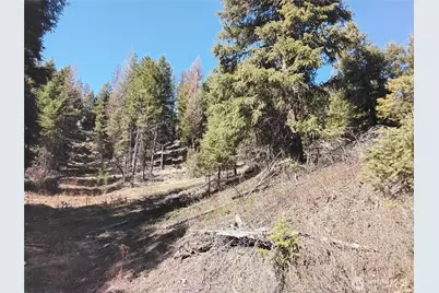 0 Cougar Loop Drive, Tonasket, WA 98855 - Photo 1