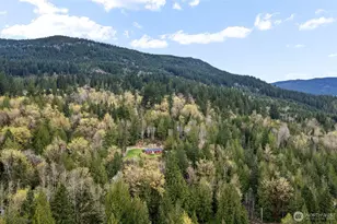 41511 318th St NE, Arlington, WA 98223 - Photo 35