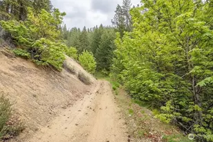 659 Stargazer Ln, Leavenworth, WA 98826 - Photo 39