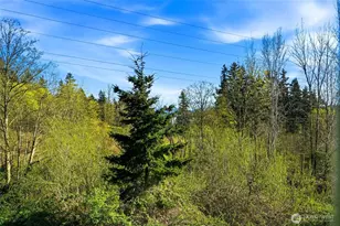 10175 156th Ct NE, Redmond, WA 98052 - Photo 29