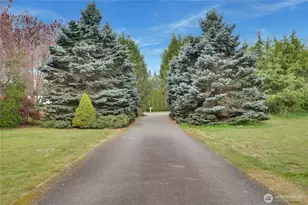 30721 Webster Rd E, Eatonville, WA 98328 - Photo 39
