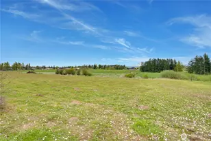 30721 Webster Rd E, Eatonville, WA 98328 - Photo 37