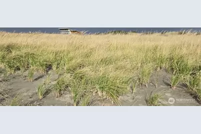 4717 State Route 105 S, Grayland, WA 98547 - Photo 5