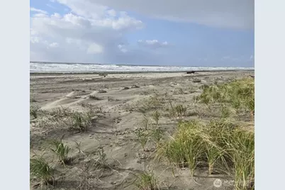 4717 State Route 105 S, Grayland, WA 98547 - Photo 1