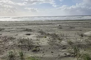 4721 State Route 105 S, Grayland, WA 98547 - Photo 1