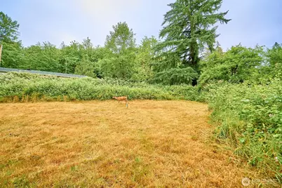 16718 SE May Valley Road, Renton, WA 98059 - Photo 11