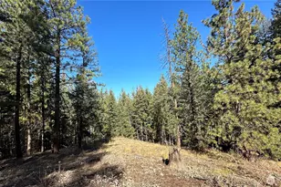 142 C Red Pine Ct, Winthrop, WA 98862 - Photo 1