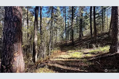 142 C Red Pine Court, Winthrop, WA 98862 - Photo 9