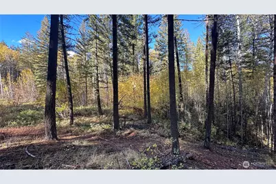 142 C Red Pine Court, Winthrop, WA 98862 - Photo 5