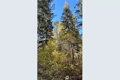 142 C Red Pine Court, Winthrop, WA 98862 - Photo 17