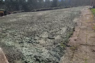 12009 239th Ave Ct E, Buckley, WA 98321 - Photo 39