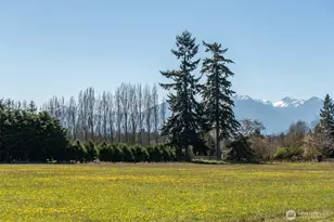 1688 Finn Hall Rd, Port Angeles, WA 98362 - Photo 25