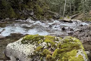 87236 NE Old Cascade Hwy, Skykomish, WA 98288 - Photo 1