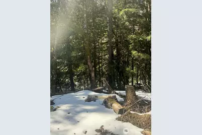 87236 NE Old Cascade Highway, Skykomish, WA 98288 - Photo 7