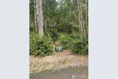 51 E Blackberry Lane, Union, WA 98592 - Photo 1