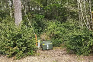 51 E Blackberry Ln, Union, WA 98592 - Photo 1