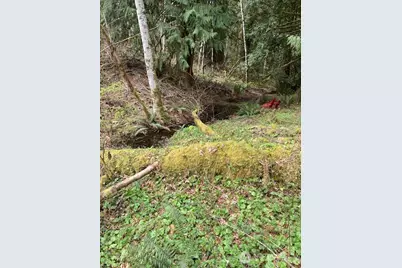 300 N Goldeneye Drive, Hoodsport, WA 98548 - Photo 3