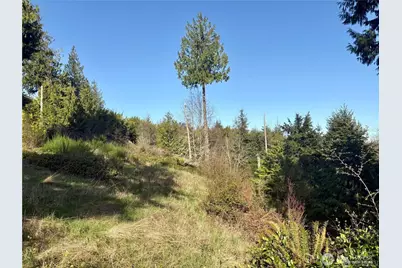 103 Wells Ridge Court, Port Ludlow, WA 98365 - Photo 7