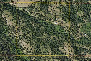 266 Bluebell Ln, Tonasket, WA 98855 - Photo 5