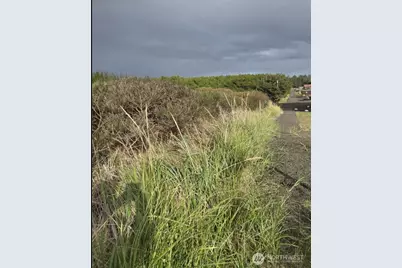 47 Xx State Route 105 S, Grayland, WA 98547 - Photo 11