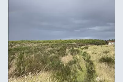 47 Xx State Route 105 S, Grayland, WA 98547 - Photo 5