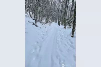 182 State Route 105, Raymond, WA 98577 - Photo 35