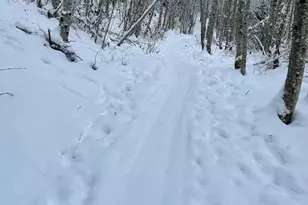 182 State Route 105, Raymond, WA 98577 - Photo 35