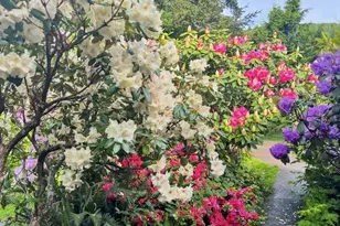 182 State Route 105, Raymond, WA 98577 - Photo 39