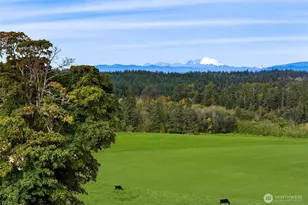 221 Baker View Ln, Camano Island, WA 98282 - Photo 3
