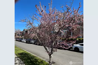 301 Wild Rose Street, Tacoma, WA 98466 - Photo 29