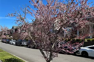 301 Wild Rose St, Tacoma, WA 98466 - Photo 29