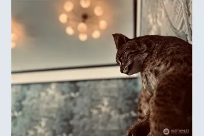 235 E Main Street, Dayton, WA 99328 - Photo 9