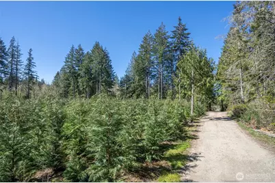 101 Andrejs Road, Shelton, WA 98584 - Photo 3