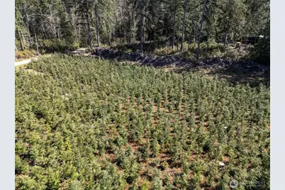 101 Andrejs Road, Shelton, WA 98584 - Photo 5