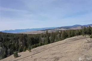 17 Teal Lake Road N, Oroville, WA 98844 - Photo 35