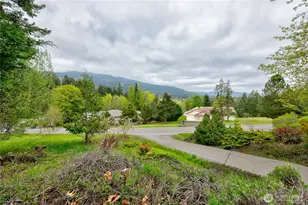 1993 Doe Run Rd, Sequim, WA 98382 - Photo 37