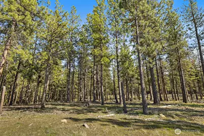 0 Xxx Flying M, Cle Elum, WA 98922 - Photo 7