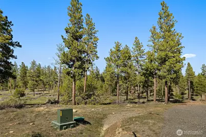 0 Xxx Flying M, Cle Elum, WA 98922 - Photo 5