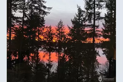 825 206th Avenue NE, Sammamish, WA 98074 - Photo 5