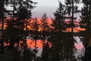 825 206th Ave NE, Sammamish, WA 98074 - Photo 5