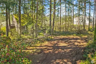 23414 46th Ave E, Spanaway, WA 98387 - Photo 29