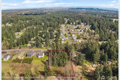 23414 46th Avenue E, Spanaway, WA 98387 - Photo 39