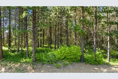 831 Iron Monarch Loop, Cle Elum, WA 98922 - Photo 9