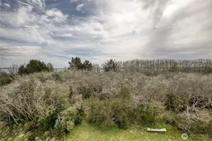 171 Marine View Dr SE, Ocean Shores, WA 98569 - Photo 27