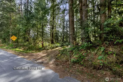 0 Xx Cascade River Road, Marblemount, WA 98267 - Photo 11