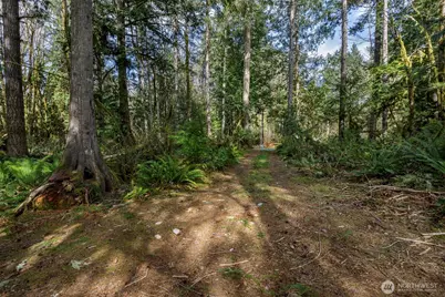 0 Xx Cascade River Road, Marblemount, WA 98267 - Photo 9