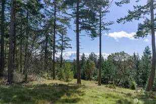 186 S Ridge Rd, Decatur Island, WA 98221 - Photo 27